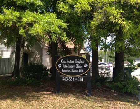 Photo Gallery in North Charleston, SC | Charleston Heights Veterinary