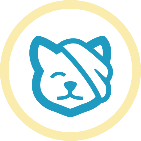 blue cat surgery icon in yellow circle